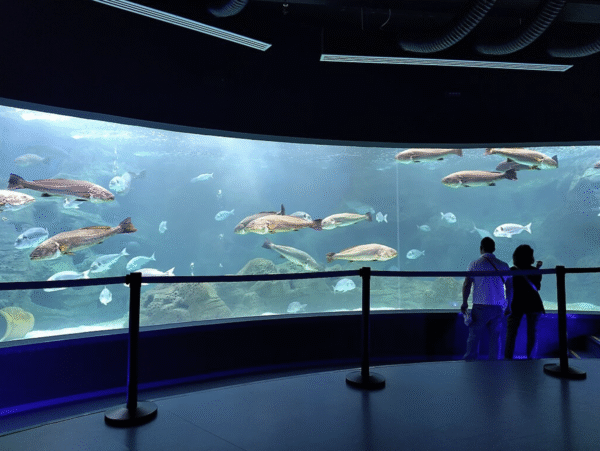 AQUARIOUM